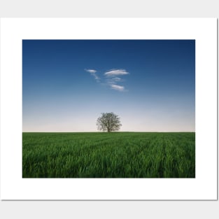 a tree in the wheat field Posters and Art